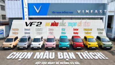 Mua VinFast VF2 Tại Đồng Nai – Sắp Bàn Giao, Ưu Đãi Đến 10 Triệu